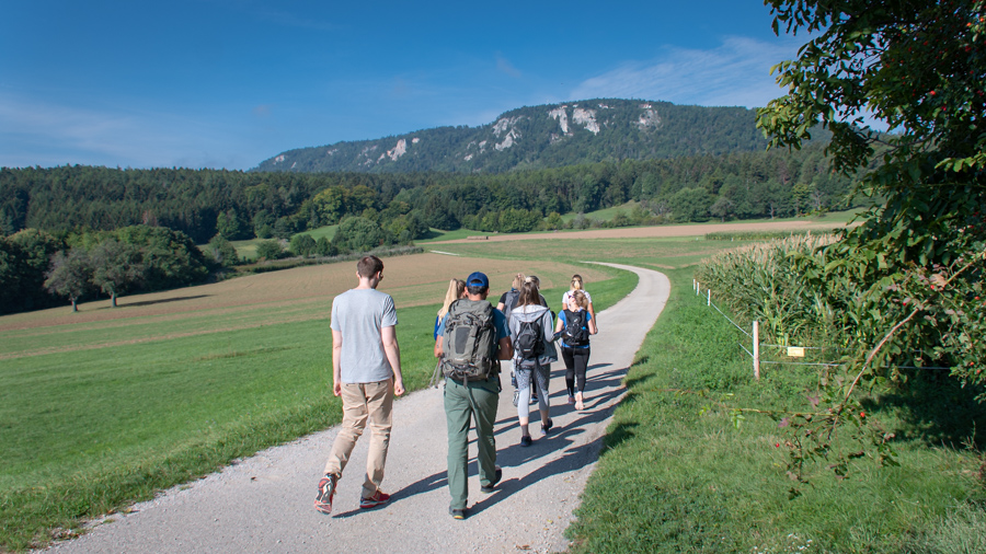 walk and talk