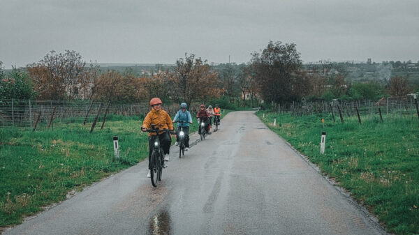 Radfahrerinnen mit Licht  auf Landstraße durch Weingärten im Regen