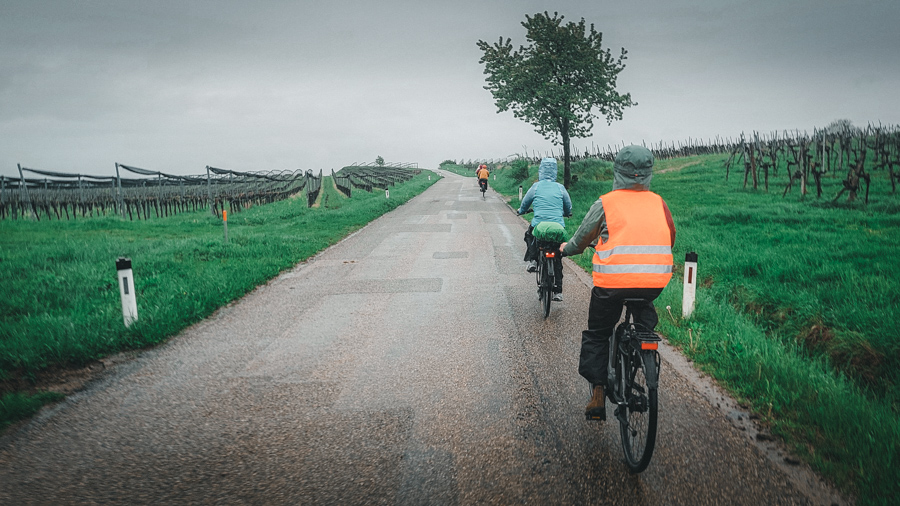 Fahrradfahrer auf Landstraße durch Weingärten im Regen